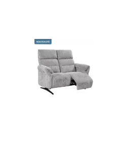 CANAPE ALPES 2 PLACES FIXE OU 1 MOTEUR DOSSIER ACTIF C36