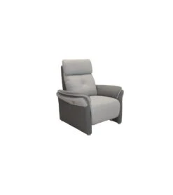 Fauteuil Gamme GENIES C36