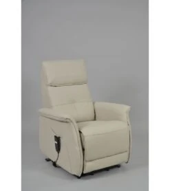 Fauteuil Releveur 2 Moteurs Vinyle FERGANA A19 -Grosfillex Magasin fauteuil releveur 2 moteurs vinyle fergana a19 3